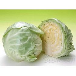 廣東糖類產品與蔬菜的批發(fā)、供應及廠家資源整合