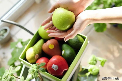 智慧農貿精準管理 苗木全產業(yè)鏈效率提升之道