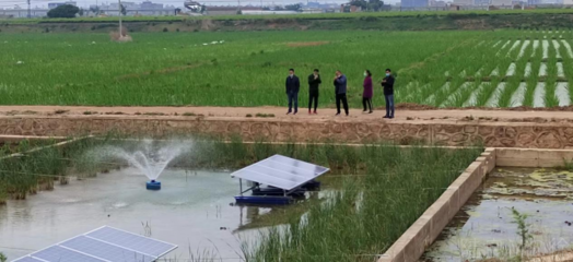 陸良縣強化養(yǎng)殖尾水治理，推動內(nèi)陸水產(chǎn)養(yǎng)殖綠色可持續(xù)發(fā)展