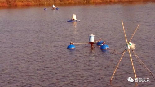 慶云海天水產(chǎn)養(yǎng)殖榮膺省級健康示范場，探索內(nèi)陸水產(chǎn)養(yǎng)殖與銷售新路徑