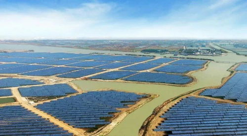 水產變革在即 巨頭入局后的內陸水產養殖銷售新格局